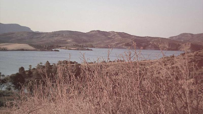 jiongci囧次元产品中心全景展示